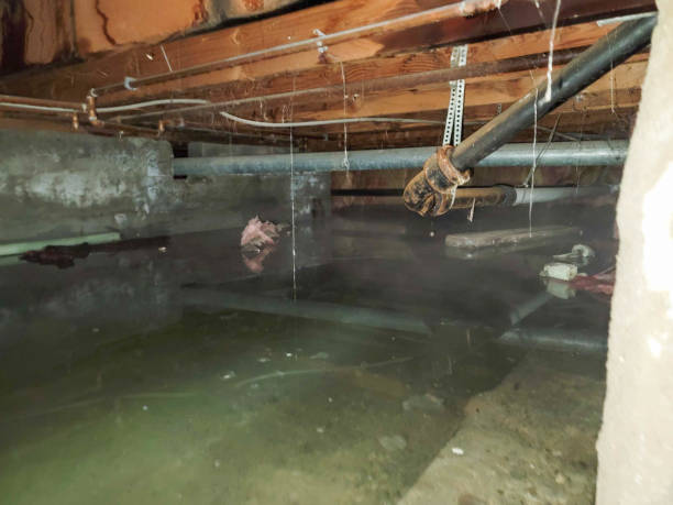 Best Ceiling water damage repair  in Flushing, MI