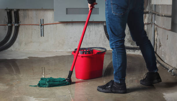 Best Professional water damage repair  in Flushing, MI