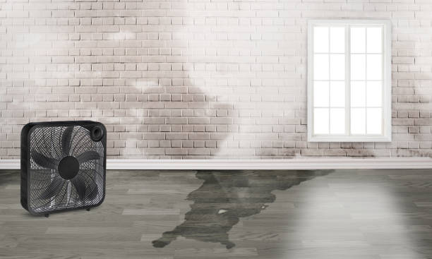 24/7 water damage repair in MI