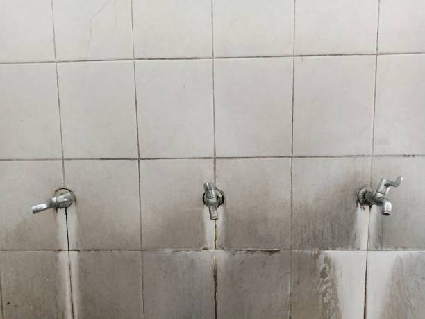 Best Residential water damage restoration  in Flushing, MI