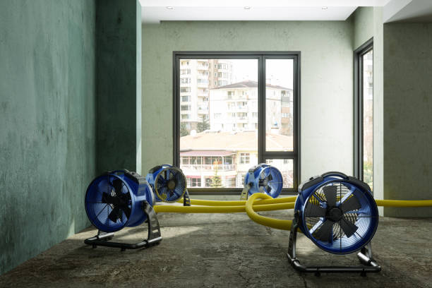 Best Water damage cleanup near me  in Flushing, MI