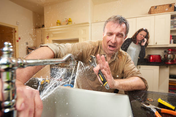 Best Flood damage cleanup  in Flushing, MI